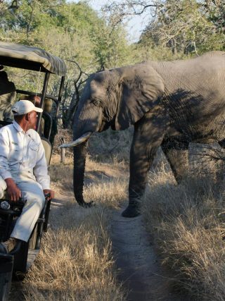 Uber Safari is the Perfect Ride to Africa’s BIG Five