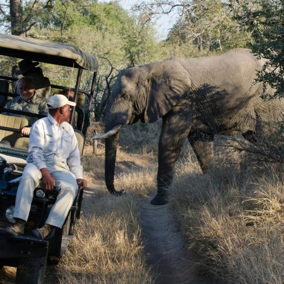 Uber Safari is the Perfect Ride to Africa’s BIG Five