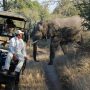 Uber Safari is the Perfect Ride to Africa’s BIG Five